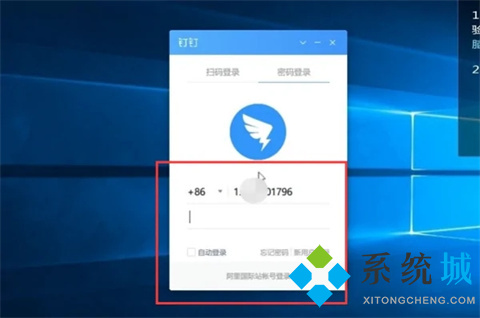 釘釘怎么看直播回放 釘釘直播回放查看方法