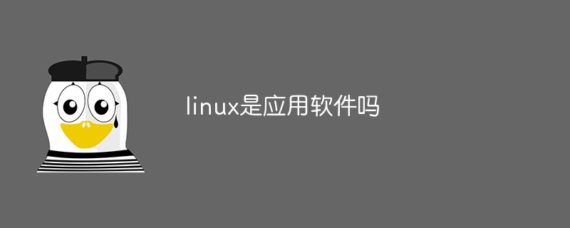 linux是應(yīng)用軟件嗎