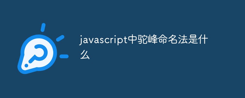 javascript中駝峰命名法是什么