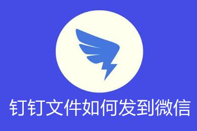 釘釘文件如何發(fā)到微信 釘釘文件怎么傳到微信