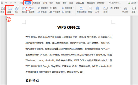 wps截圖快捷鍵ctrl加什么 電腦wps怎么截圖