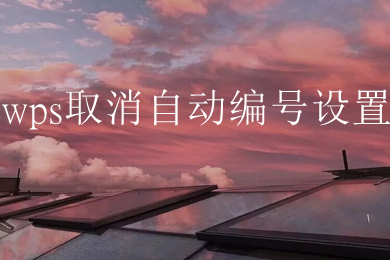 wps取消自動(dòng)編號(hào)設(shè)置 wps自動(dòng)編號(hào)怎么取消