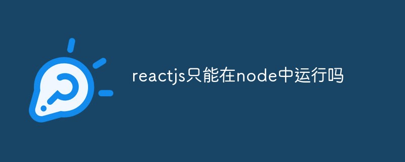reactjs只能在node中運行嗎