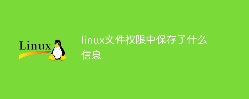 linux文件權(quán)限中保存了什么信息