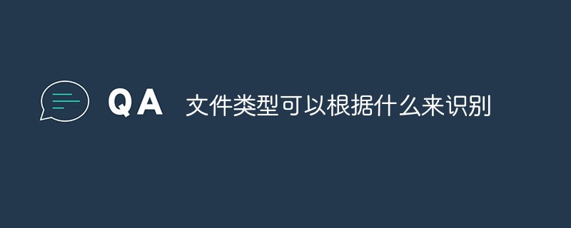 文件類型可以根據(jù)什么來識別