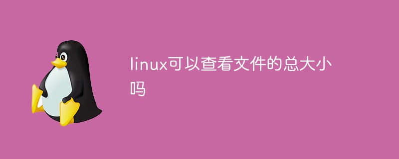 linux可以查看文件的總大小嗎