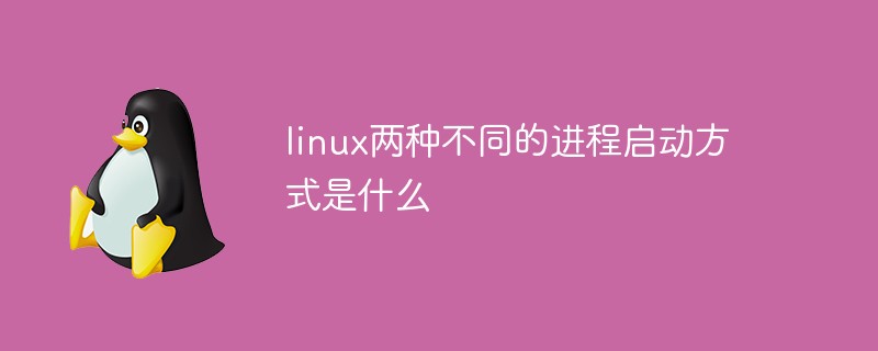 linux兩種不同的進(jìn)程啟動方式是什么