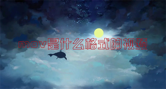 mov是什么格式的視頻 mov和mp4區(qū)別