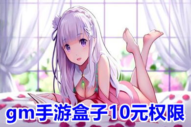 gm手游盒子10元權(quán)限 gm手游平臺app哪個好