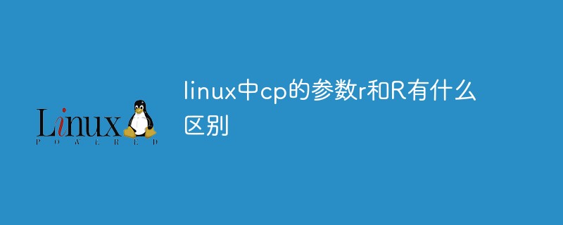 linux中cp的參數(shù)r和R有什么區(qū)別