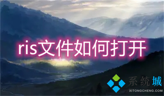 ris文件如何打開 ris文件怎么打開