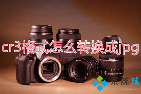 cr3格式怎么轉(zhuǎn)換成jpg cr3文件怎么批量轉(zhuǎn)jpg格式