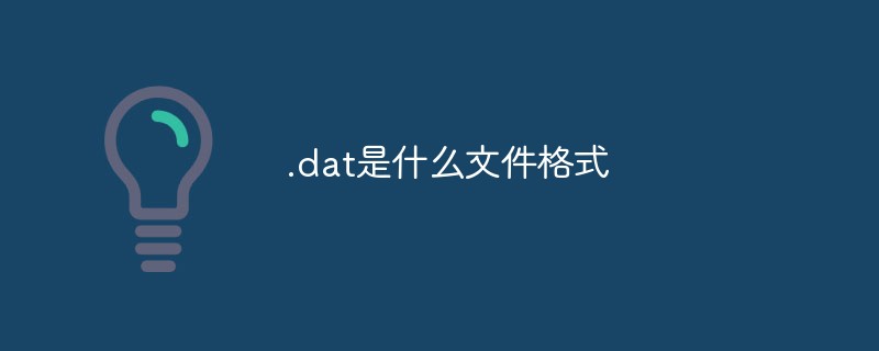 .dat是什么文件格式
