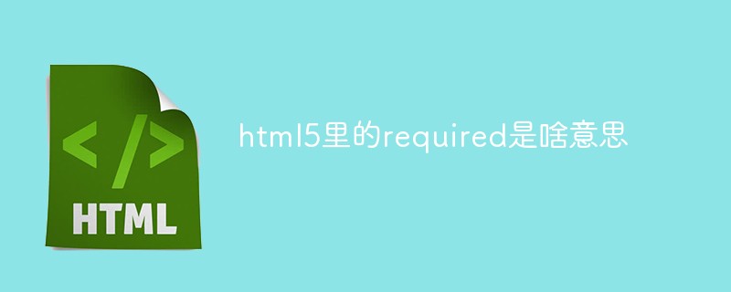 html5里的required是啥意思