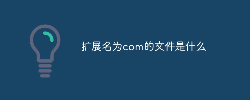 擴(kuò)展名為com的文件是什么