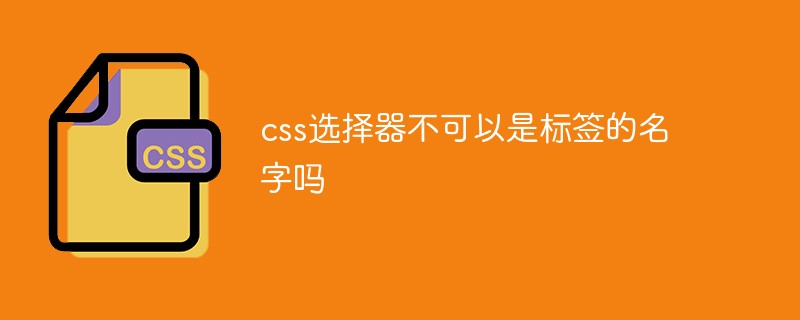 css選擇器不可以是標簽的名字嗎