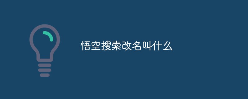 悟空搜索改名叫什么