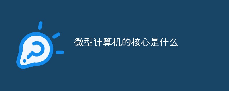 微型計(jì)算機(jī)的核心是什么