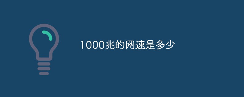 1000兆的網(wǎng)速是多少