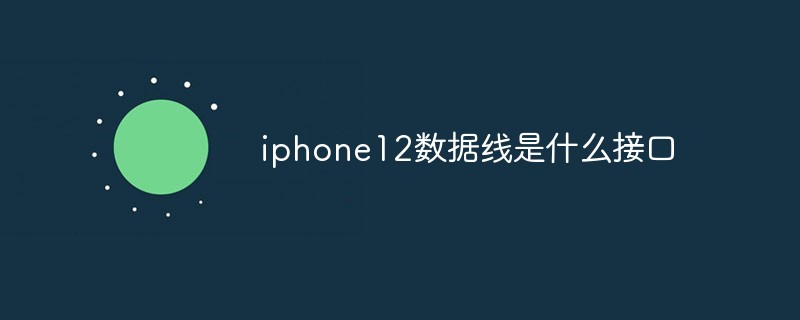 iphone12數(shù)據(jù)線是什么接口
