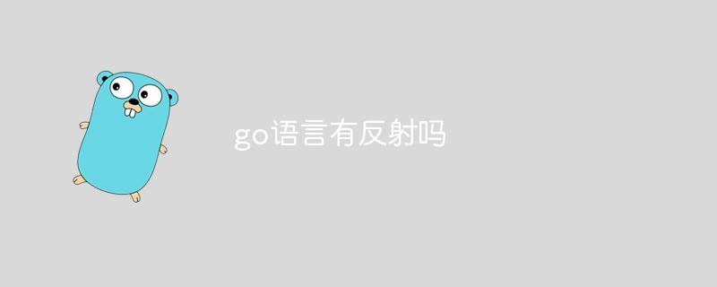 go語言有反射嗎