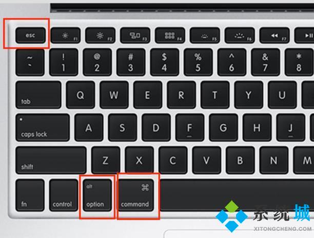 mac任務(wù)管理器怎么開 蘋果電腦打開任務(wù)管理器的快捷鍵方式