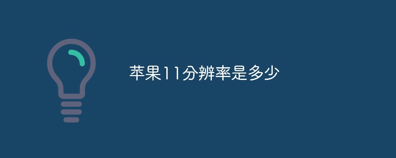 蘋果11分辨率是多少