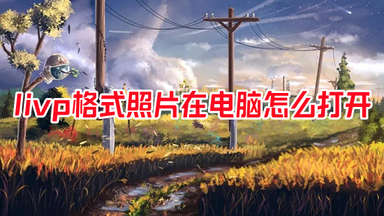 livp格式照片在電腦怎么打開 livp格式用什么打開