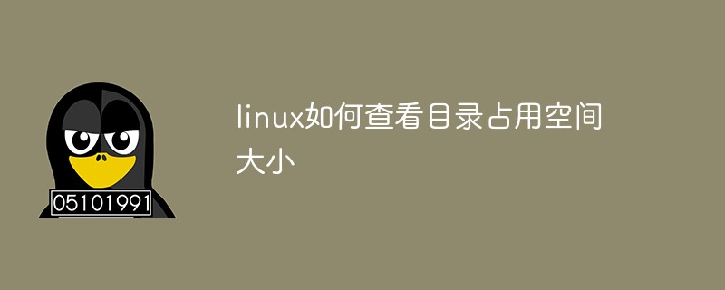 linux如何查看目錄占用空間大小