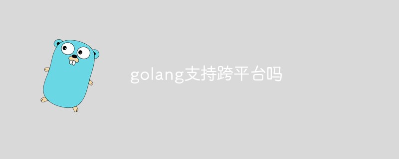 golang支持跨平臺(tái)嗎