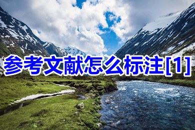 參考文獻(xiàn)怎么標(biāo)注[1] 正文中引用的文獻(xiàn)的標(biāo)注方法