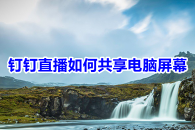 釘釘直播如何共享電腦屏幕 釘釘直播共享電腦屏幕的方法介紹