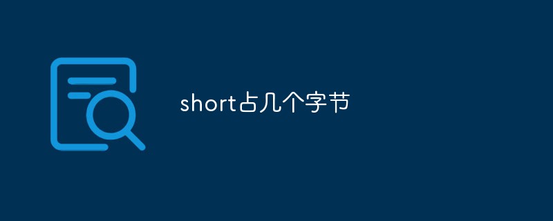short占幾個字節(jié)