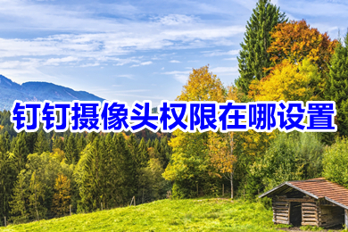 釘釘攝像頭權(quán)限在哪設(shè)置 釘釘攝像頭權(quán)限設(shè)置教程