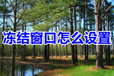 凍結(jié)窗口怎么設(shè)置 excel表格凍結(jié)窗口的設(shè)置方法