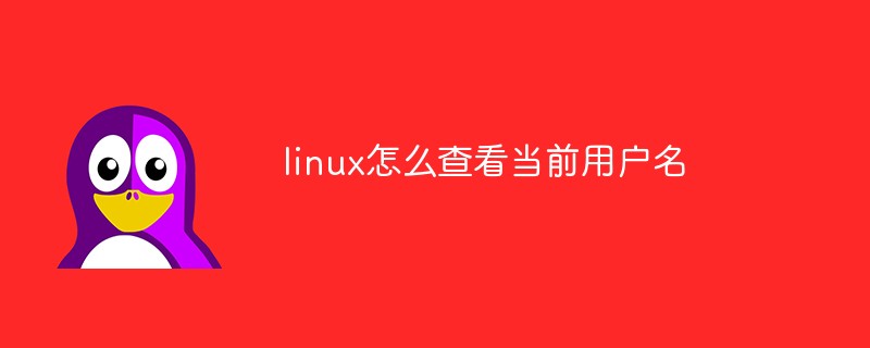 linux怎么查看當(dāng)前用戶名
