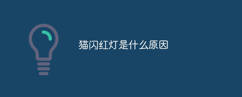 貓閃紅燈是什么原因