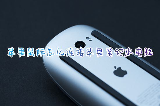 蘋果鼠標(biāo)怎么連接蘋果筆記本電腦 蘋果電腦如何連接無(wú)線鼠標(biāo)