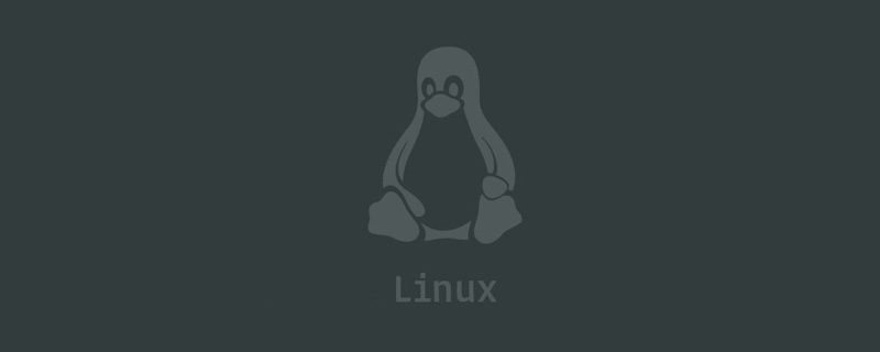 linux文檔中option什么意思