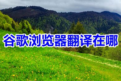 谷歌瀏覽器翻譯在哪 谷歌瀏覽器翻譯網(wǎng)頁功能在哪里設置