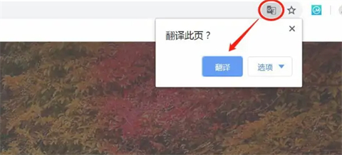 谷歌瀏覽器翻譯在哪 谷歌瀏覽器翻譯網(wǎng)頁功能在哪里設置