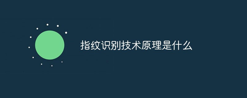 指紋識(shí)別技術(shù)原理是什么