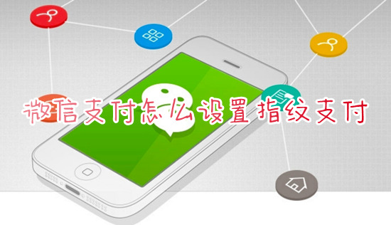 微信支付怎么設(shè)置指紋支付 微信指紋支付在哪里設(shè)置