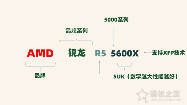 電腦小白必讀的CPU基礎(chǔ)知識大全，CPU知識科普最新全面講解