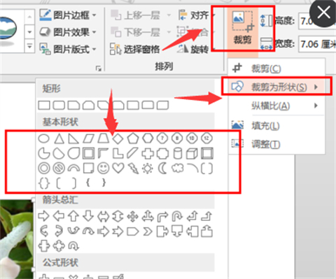 ppt圖片怎么裁剪成自己想要的形狀 ppt圖片怎么裁剪