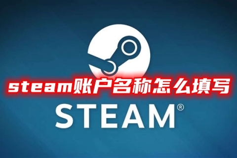 steam賬戶名稱(chēng)怎么填寫(xiě) steam賬戶注冊(cè)名稱(chēng)要求