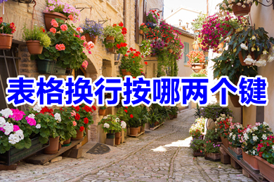 表格換行按哪兩個(gè)鍵 表格換行快捷鍵ctrl+什么