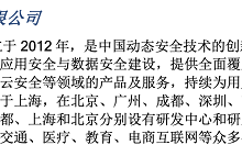 中國在線反欺詐市場代表性廠商,瑞數(shù)信息再獲IDC認(rèn)可-站長資訊網(wǎng)